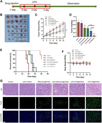 Interference With Redox Homeostasis Through a G6PD-Targeting Self-Assembled Hydrogel for the Enhancement of Sonodynamic Therapy in Breast Cancer